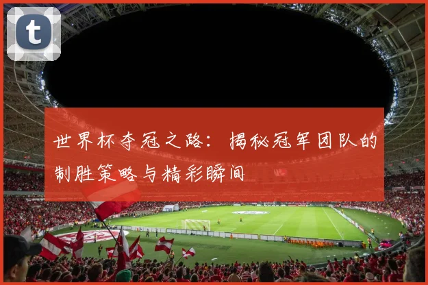 世界杯夺冠之路：揭秘冠军团队的制胜策略与精彩瞬间
