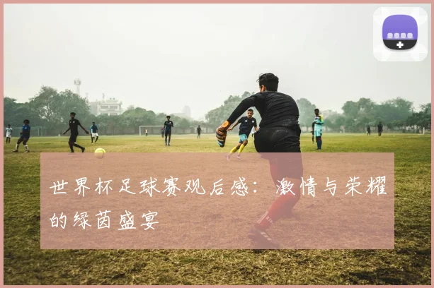 世界杯足球赛观后感：激情与荣耀的绿茵盛宴